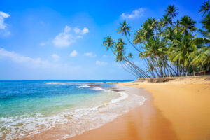Untouched beautiful beach on the Indian Ocean in Sir Lanka